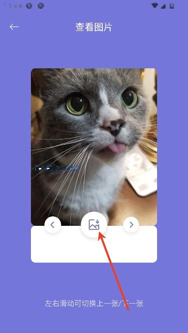 Fatty cat最新版本 Fatty cat最新版本